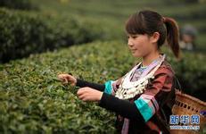 link alternatif bola180 cash 3 Wang Yaping Menjadi Astronot Wanita China Pertama dalam Kegiatan Luar Angkasa daftar keluar sdy